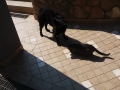 20160901_103604_resize