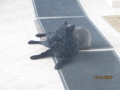IMG_5481_resize