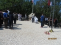 IMG_8366_resize