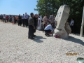 IMG_8372_resize