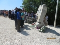IMG_8377_resize