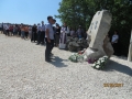 IMG_8379_resize