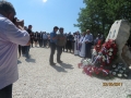 IMG_8396_resize