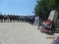 IMG_8422_resize