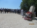 IMG_8426_resize