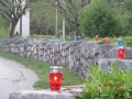 IMG_8281_resize