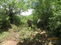 IMG_4173_resize