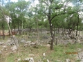 IMG_4187_resize