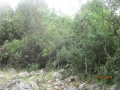 IMG_4189_resize
