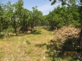 IMG_4413_resize