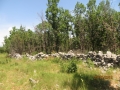 IMG_4420_resize