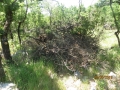 IMG_4423_resize