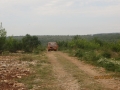 IMG_5077_resize