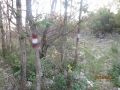 IMG_2363_resize