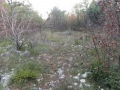 IMG_2364_resize