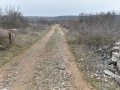 MAD_2479_resize