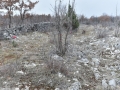 MAD_2488_resize