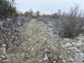 MAD_2490_resize