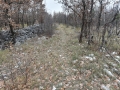 MAD_2497_resize
