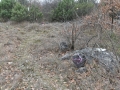 MAD_2501_resize