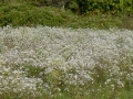 PICT0387