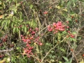 PICT0390