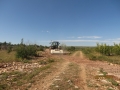 IMG_5248_resize