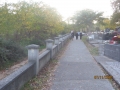 IMG_4905_resize