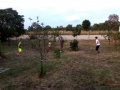 IMG_20190824_193819_resize