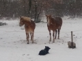 20180301_161830_resize