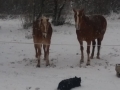 20180301_161840_resize