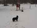 20180301_162245_resize