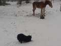 20180301_162254_resize