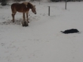 20180301_162305_resize