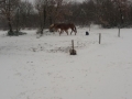 20180301_162353_resize