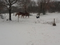 20180301_162355_resize