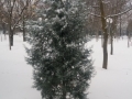 20180301_163810_resize