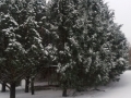 20180301_164010_resize