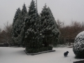 20180301_164013_resize