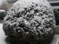 20180301_164030_resize