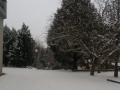 20180301_164146_resize
