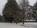 20180301_164148_resize