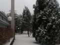 20180301_164255_resize