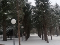 20180301_164339_resize