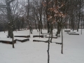 20180301_164447_resize