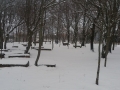 20180301_164459_resize