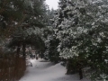 20180301_164548_resize