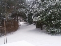 20180301_164555_resize
