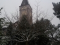 20180301_164604_resize