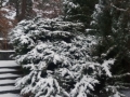 20180301_164624_resize